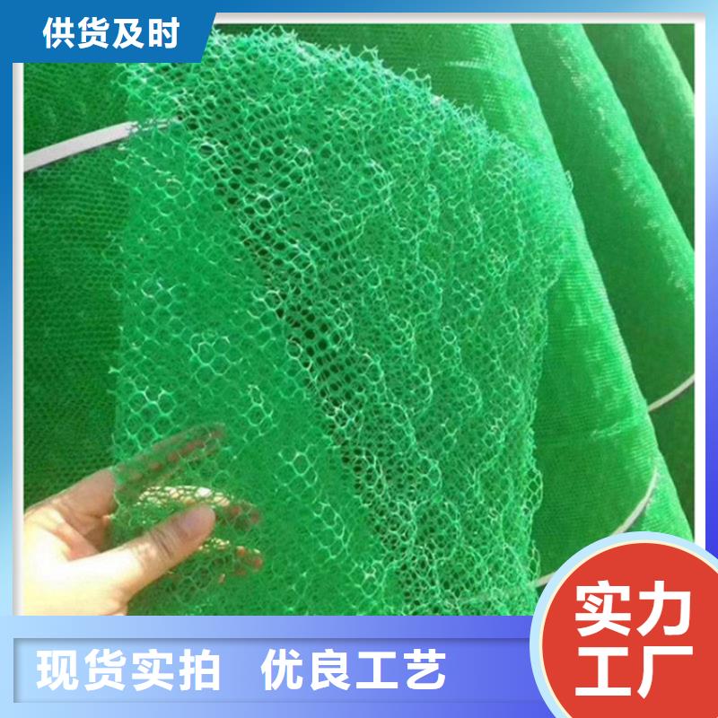 EM5塑料三维护坡植草网垫