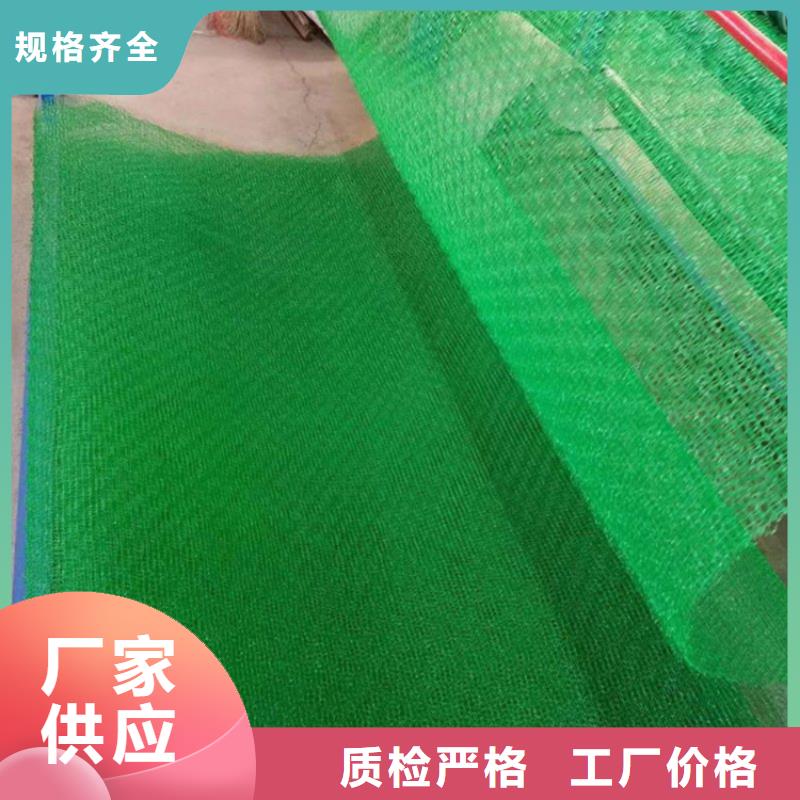 三维植被网【土工布】好品质经得住考验