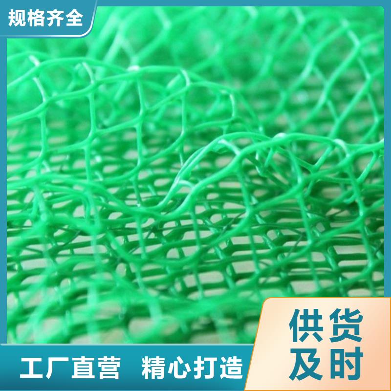三维植被网【植草格】一对一为您服务