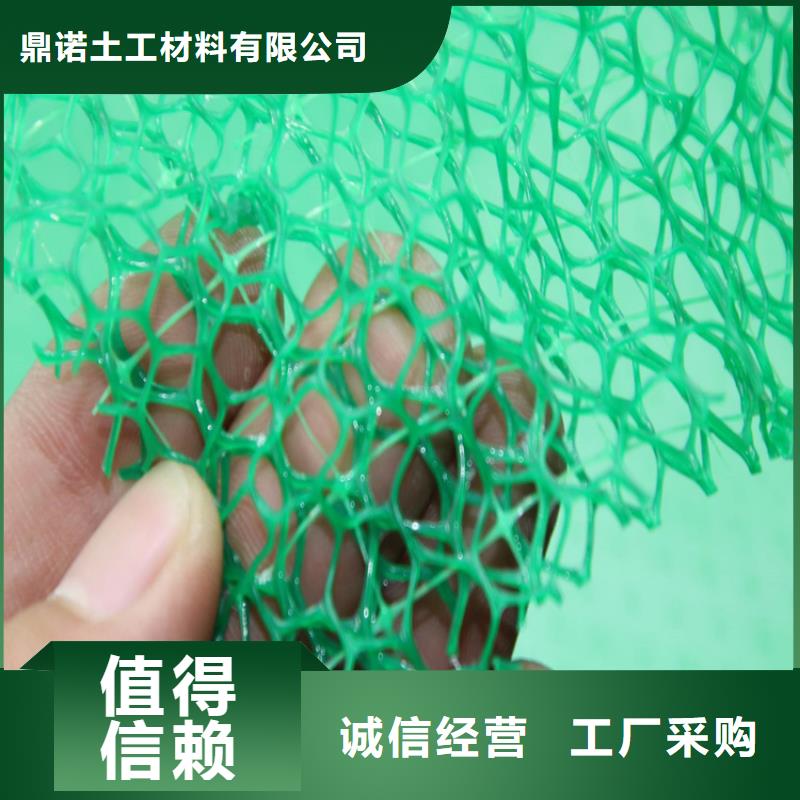 加筋绿化三维植被网