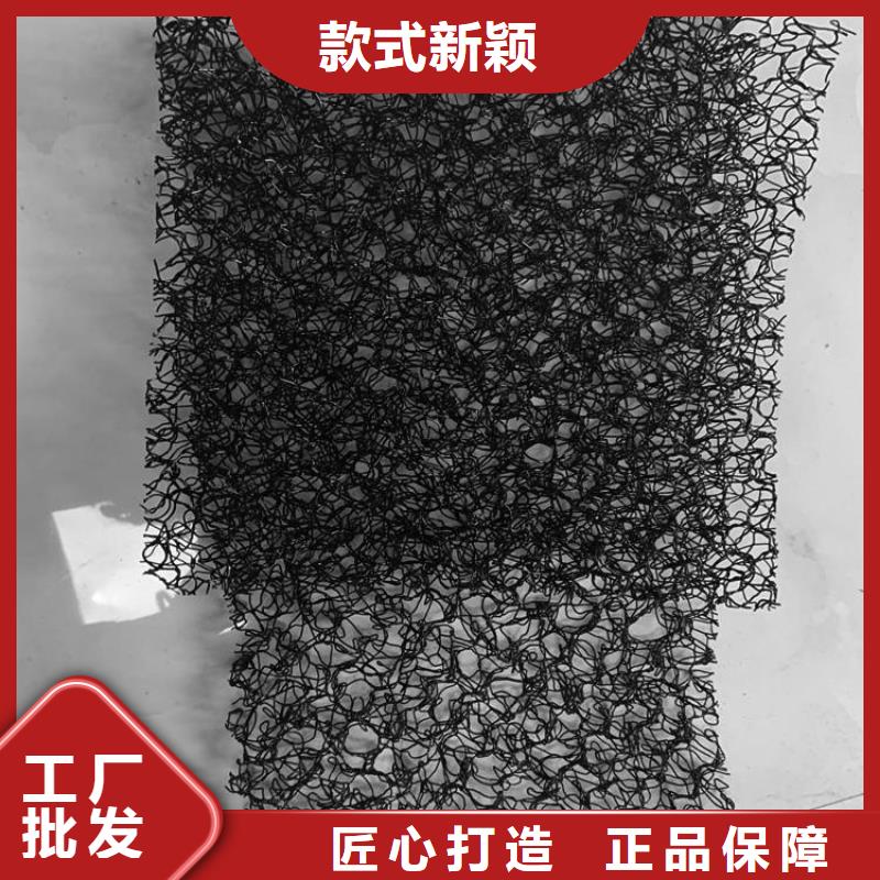 水土保护毯防水毯打造行业品质