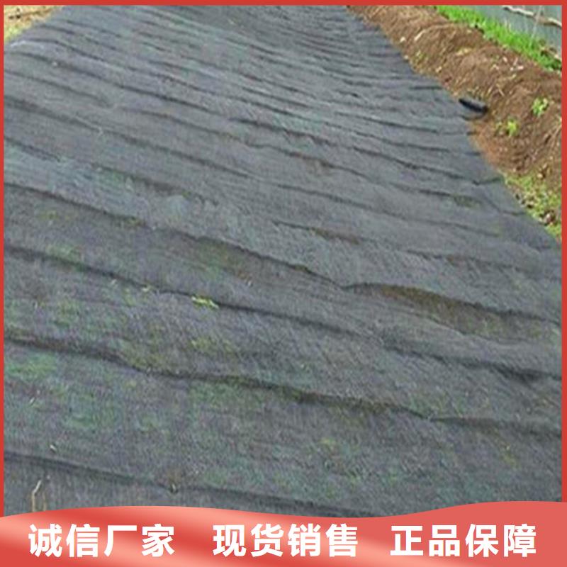 【水土保护毯HDPE土工膜品质可靠】
