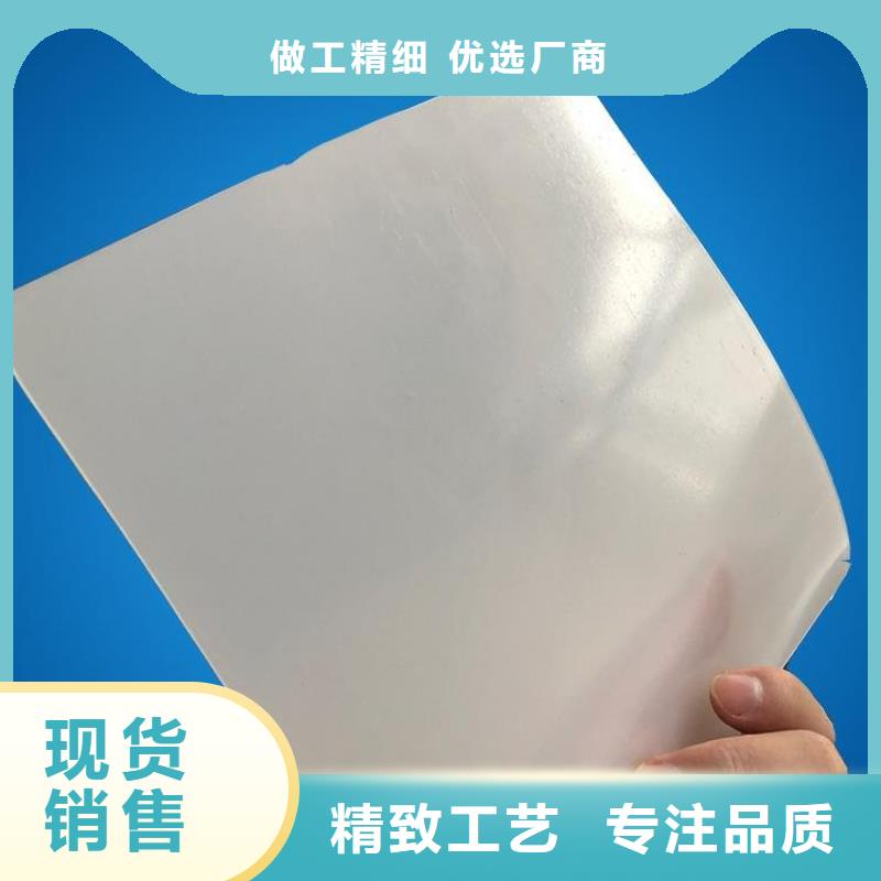 防水板HDPE土工膜客户信赖的厂家