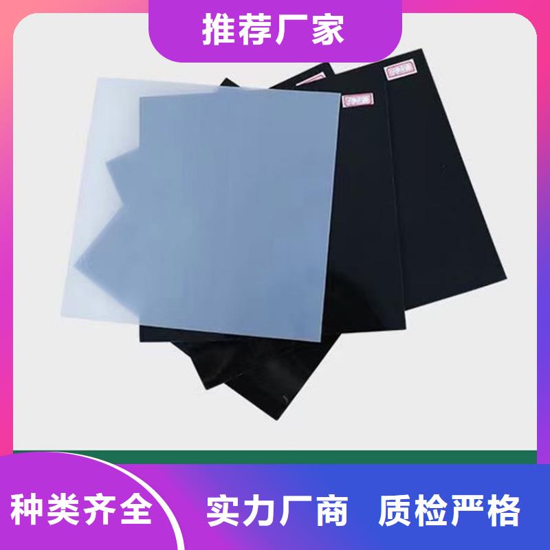 防水板HDPE土工膜客户信赖的厂家