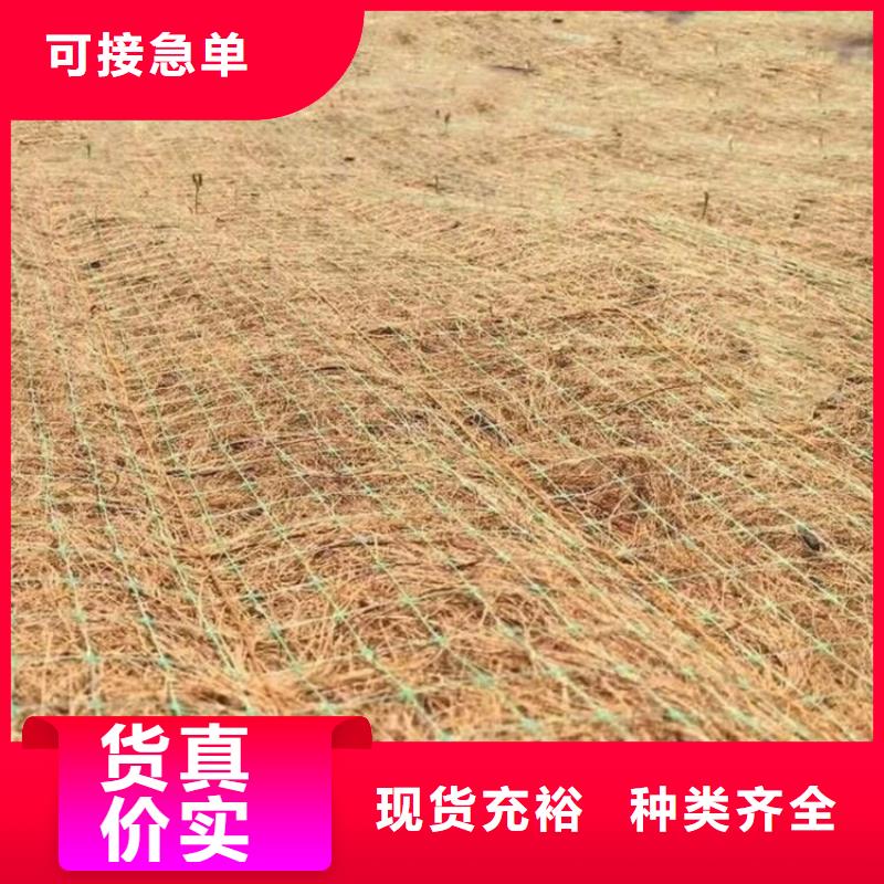 海南白沙县护坡植被植草毯秸秆植物纤维毯
