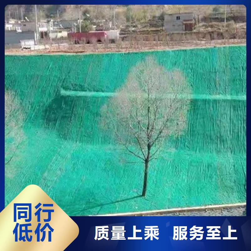 椰丝毯HDPE土工膜定制销售售后为一体