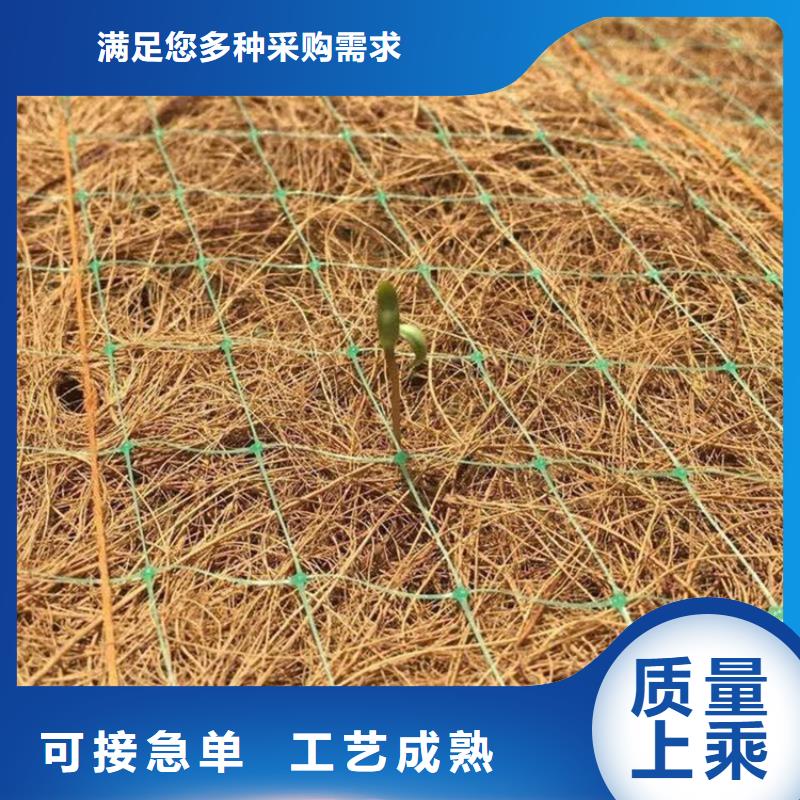 椰丝毯HDPE土工膜定制销售售后为一体