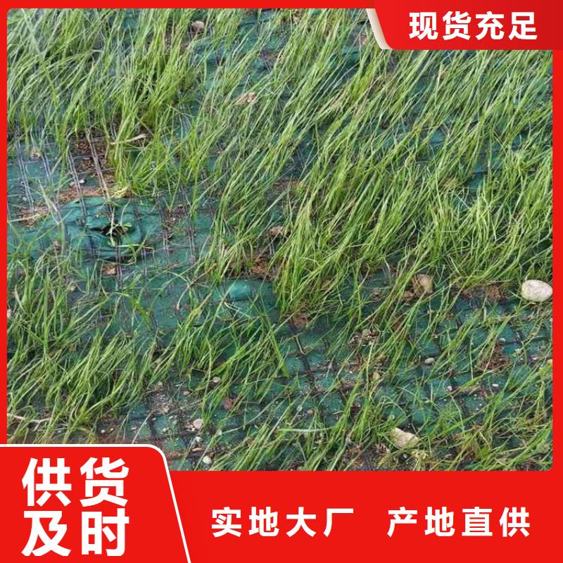 水保抗冲生物毯椰丝纤维毯