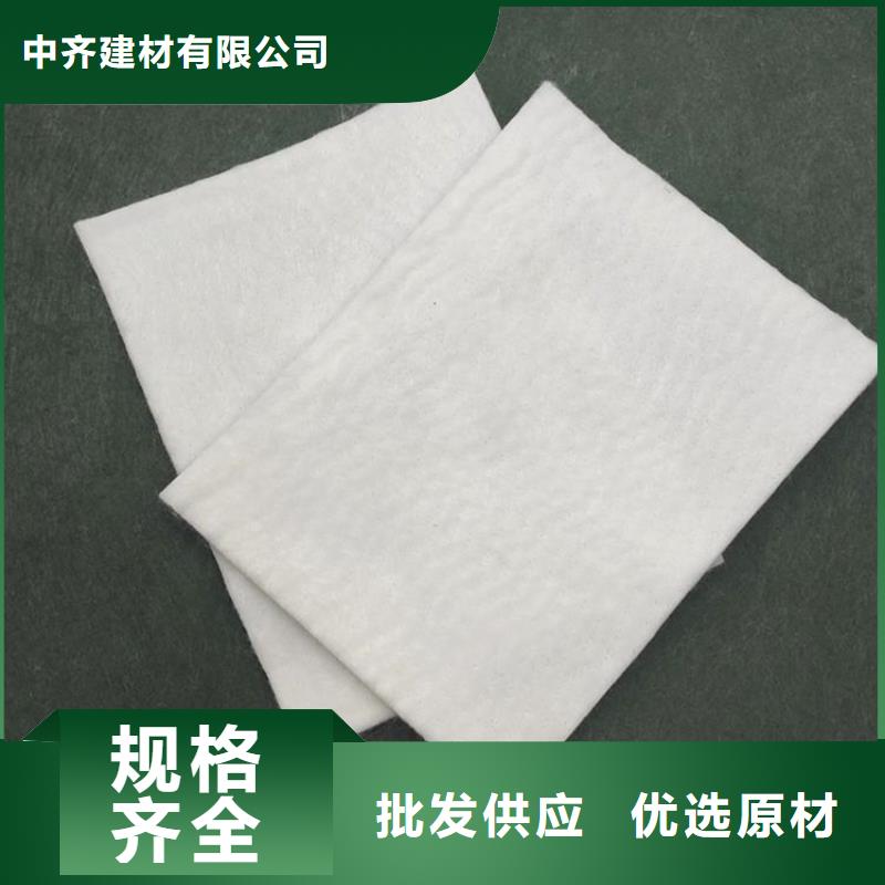 【土工布双向土工格栅精挑细选好货】
