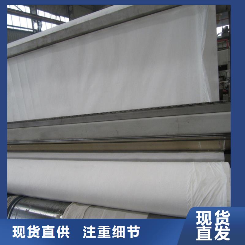 【土工布双向土工格栅精挑细选好货】
