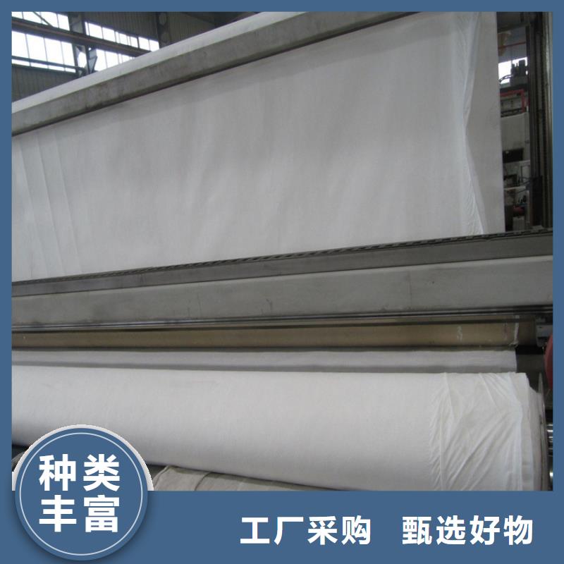 土工布HDPE复合排水板严选材质