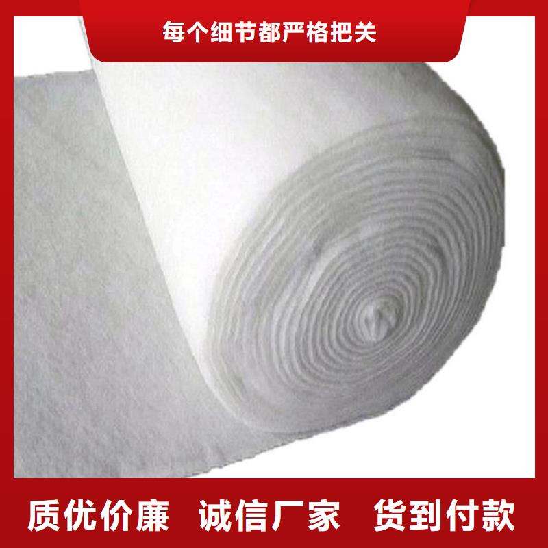 土工布HDPE复合排水板严选材质