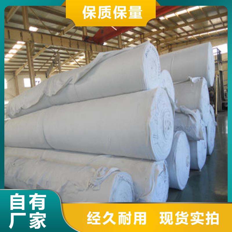 【土工布双向土工格栅精挑细选好货】