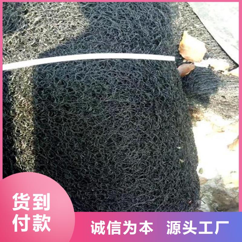 通风降噪丝网土工格栅免费询价