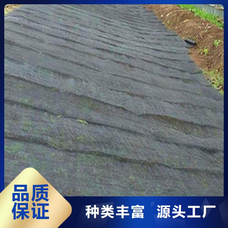 水土保护毯复合土工膜源头工厂量大优惠