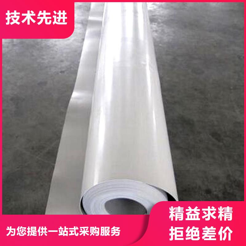 防水板_玻璃纤维土工格栅质量优选