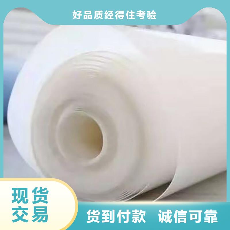 防水板_玻璃纤维土工格栅质量优选