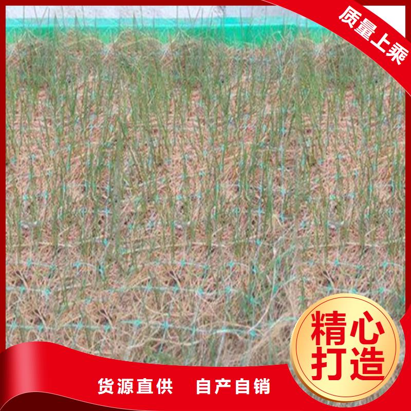 椰丝毯-双向塑料土工格栅快速物流发货