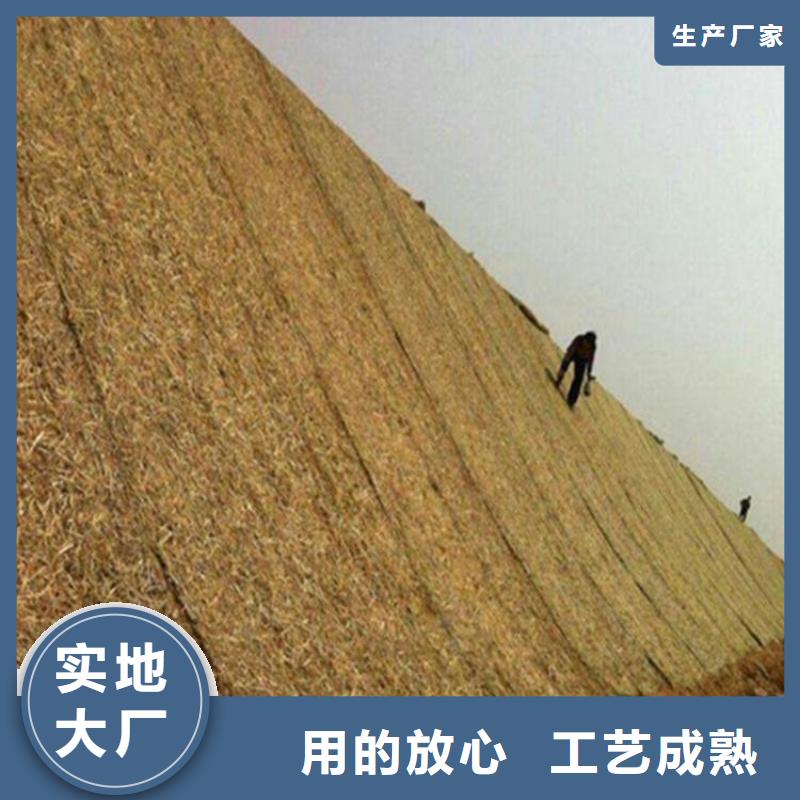椰丝毯防裂贴懂您所需