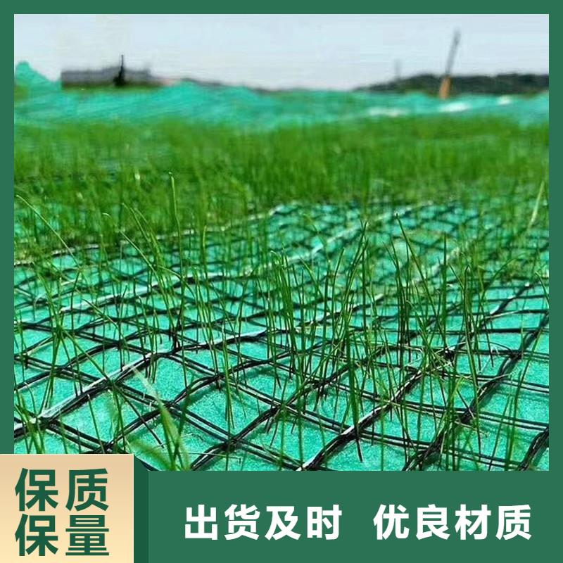 植物纤维毯加筋抗冲生态毯