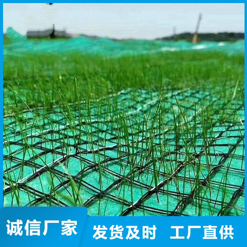 椰丝毯-双向塑料土工格栅快速物流发货
