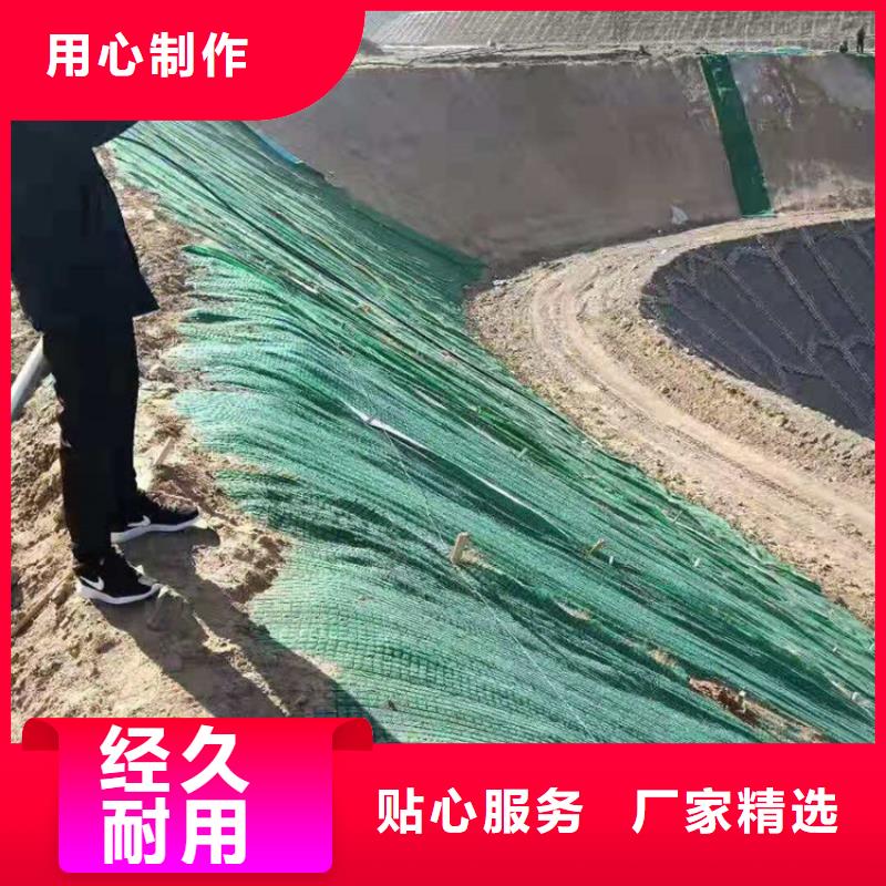 护坡一体椰丝毯种类