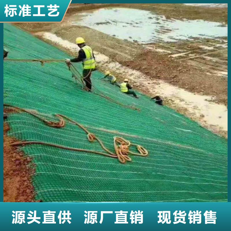 椰丝毯-双向塑料土工格栅快速物流发货