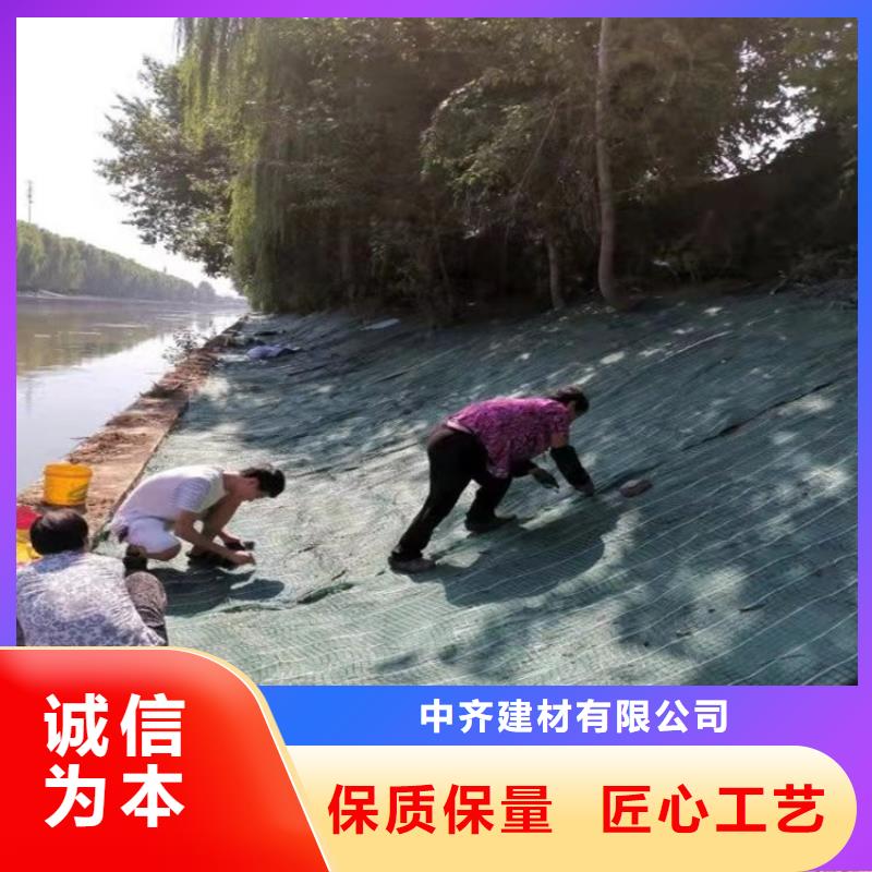 加筋抗冲生态毯椰纤植生毯