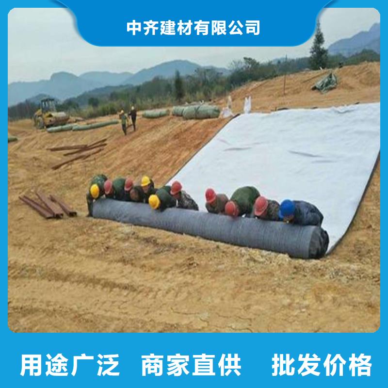 膨润土防水毯土工格栅严选材质