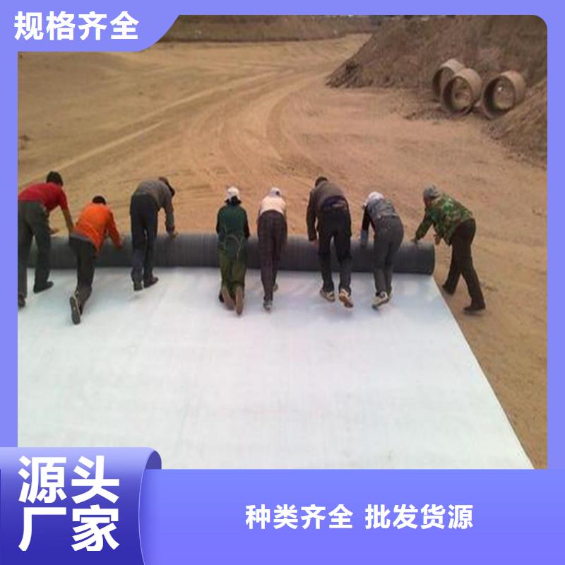膨润土防水毯塑料玻纤格栅快速发货
