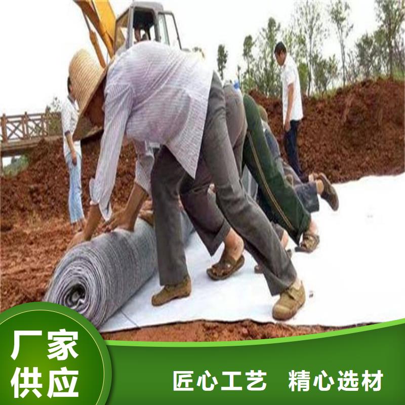 膨润土防水毯塑料玻纤格栅快速发货