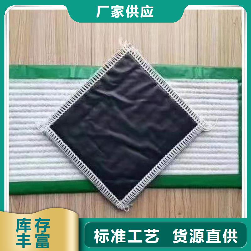 膨润土防水毯土工格栅严选材质
