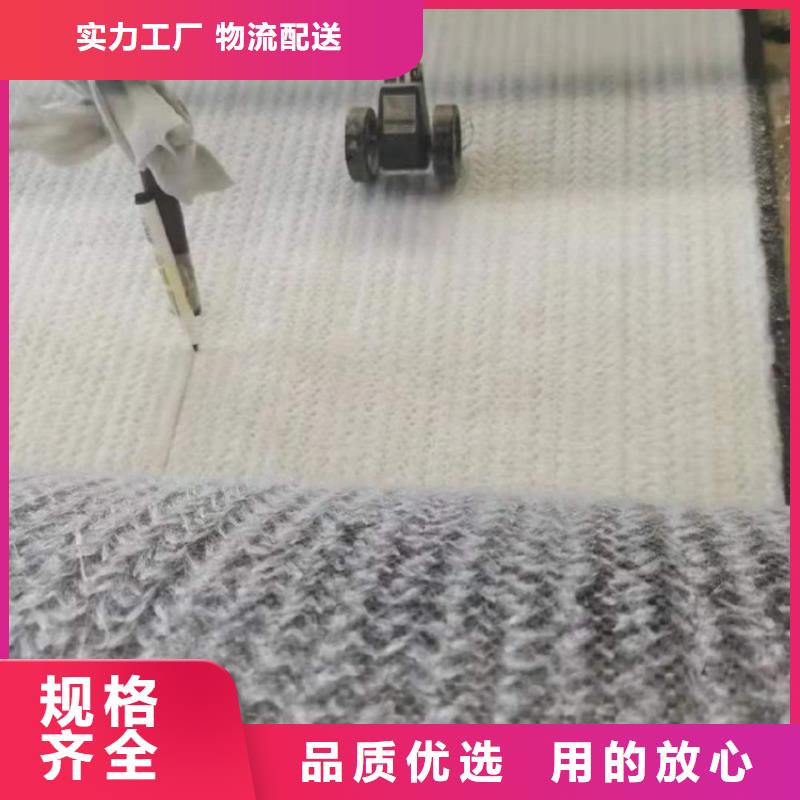 膨润土防水毯塑料玻纤格栅快速发货