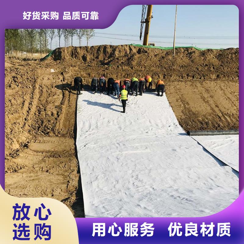 膨润土防水毯土工格栅严选材质