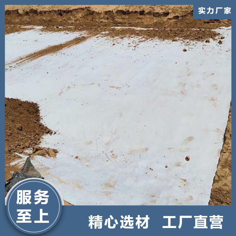膨润土防水毯土工布精挑细选好货