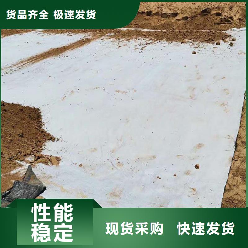 文昌市5000g钠基膨润土防水毯