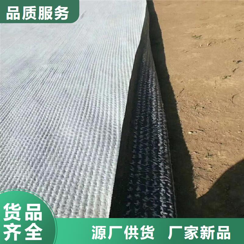 膨润土防水毯土工格栅严选材质