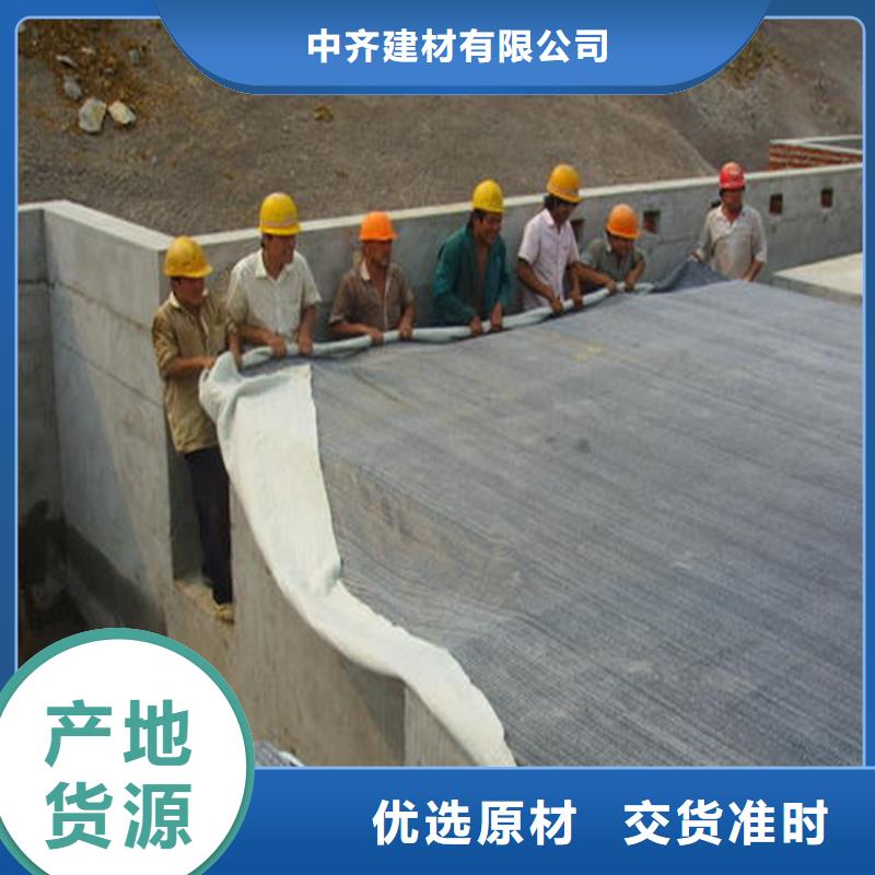 膨润土防水毯塑料玻纤格栅快速发货