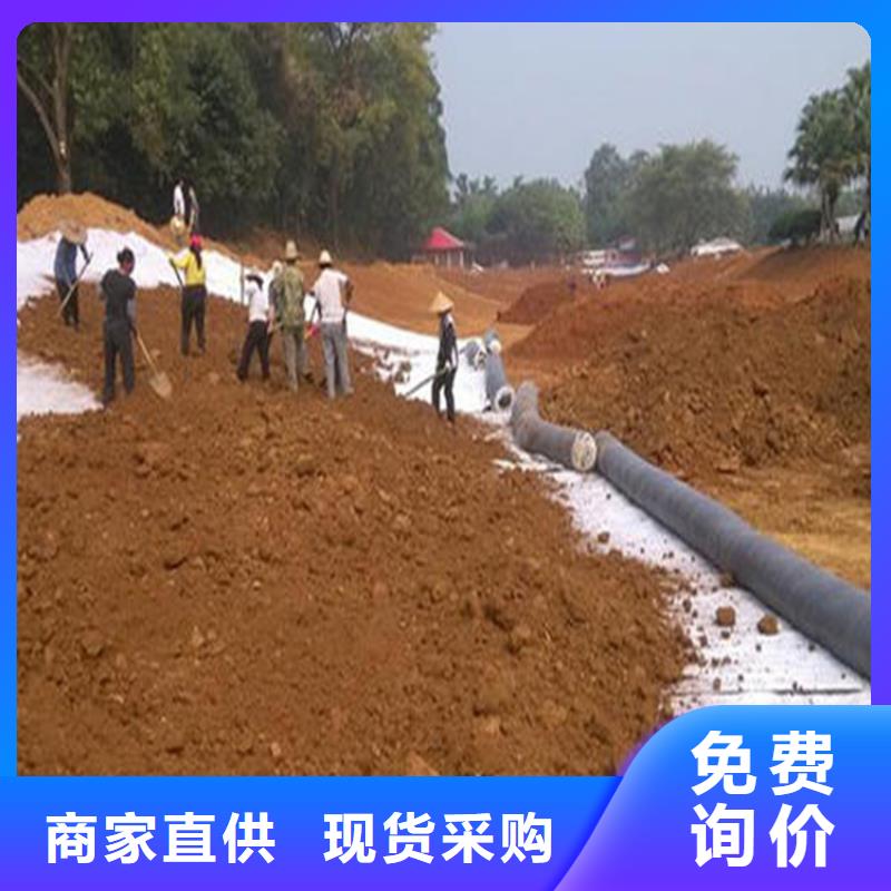 膨润土防水毯土工格栅严选材质