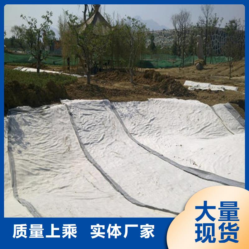 膨润土防水毯塑料玻纤格栅快速发货