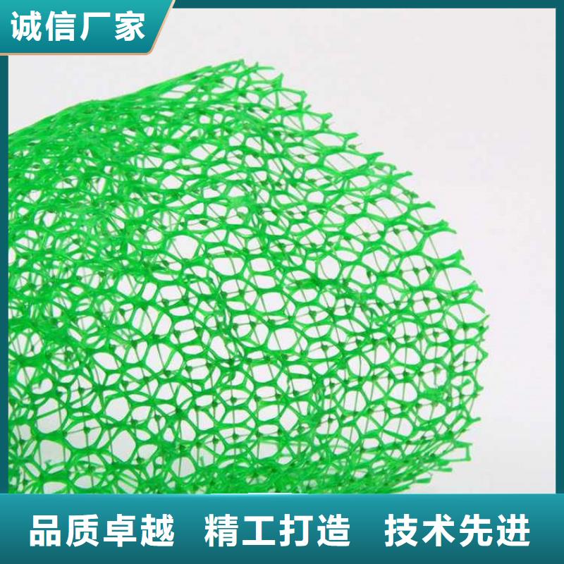 三维植被网,土工格栅专注生产制造多年