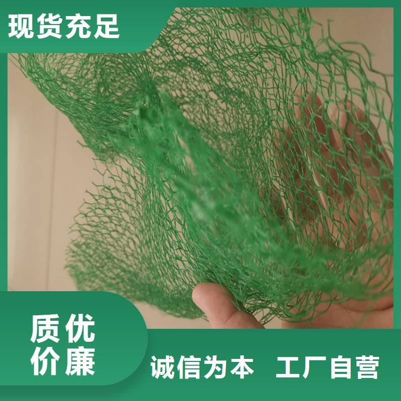 三维植被网土工膜厂家实力雄厚