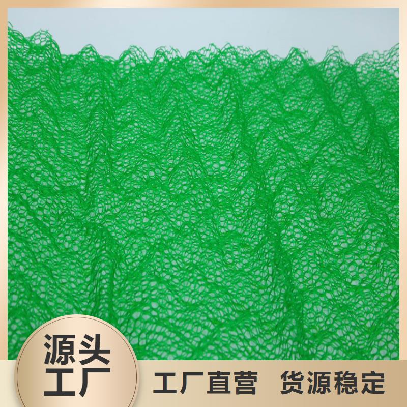 三维植被网土工膜满足客户需求