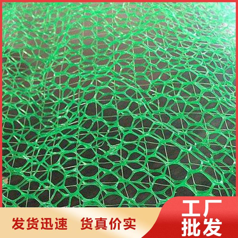 三维植被网土工布销售的是诚信