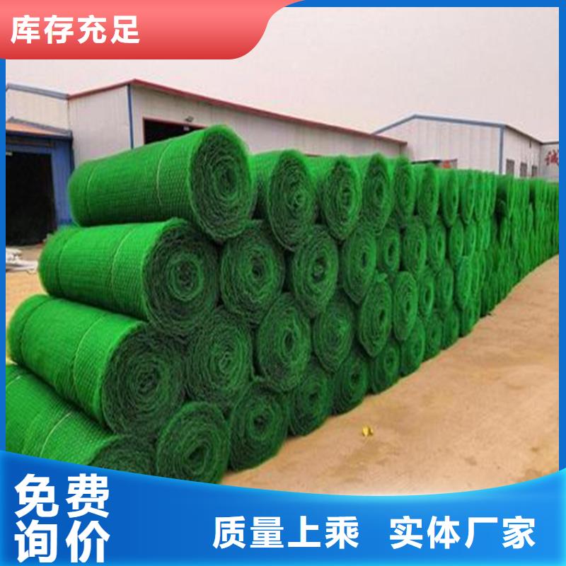 三维植被网土工布销售的是诚信