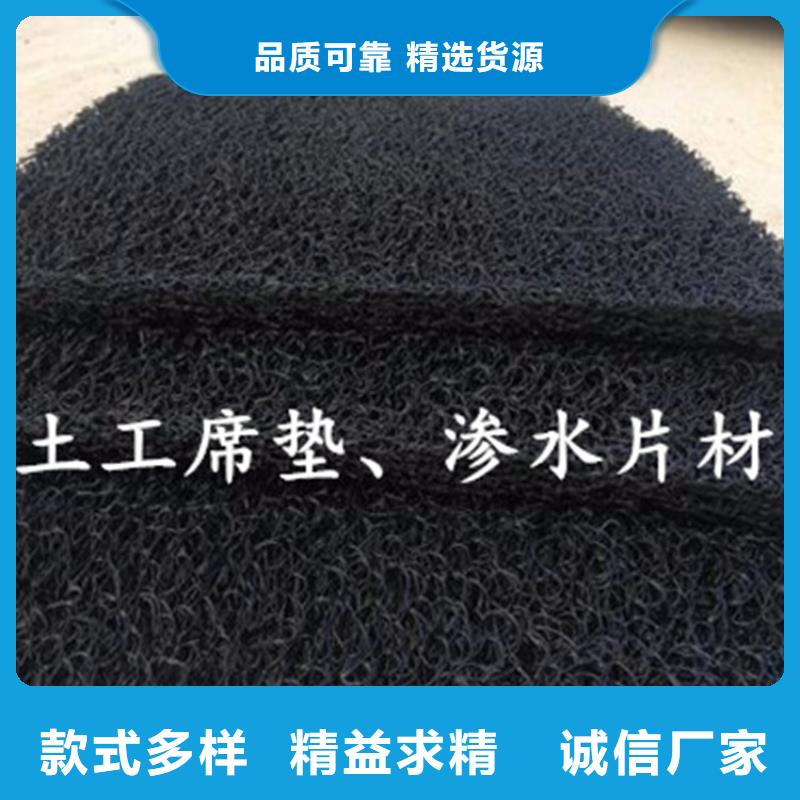 土工席垫三维植被网货真价实