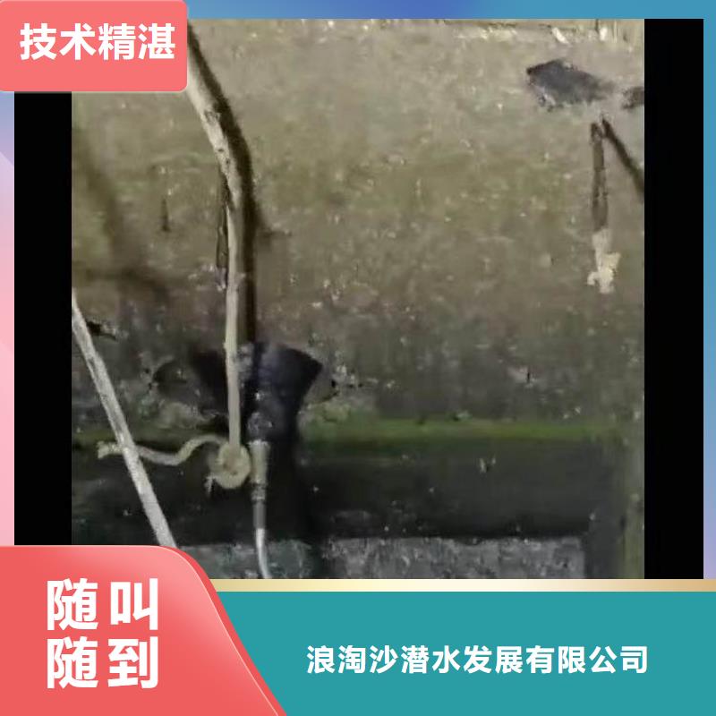 水下作业公司一最新价格一水下拍照