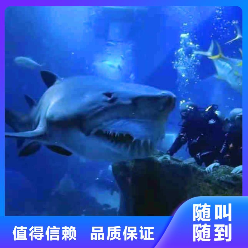 潜水员服务-水下爆破解决方案