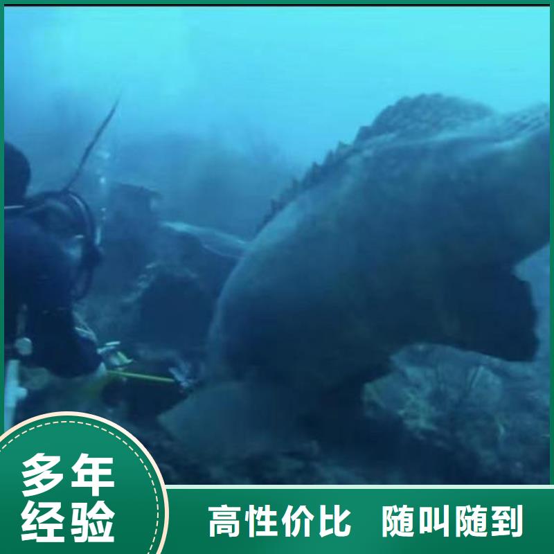 潜水员服务,水下堵漏价格美丽