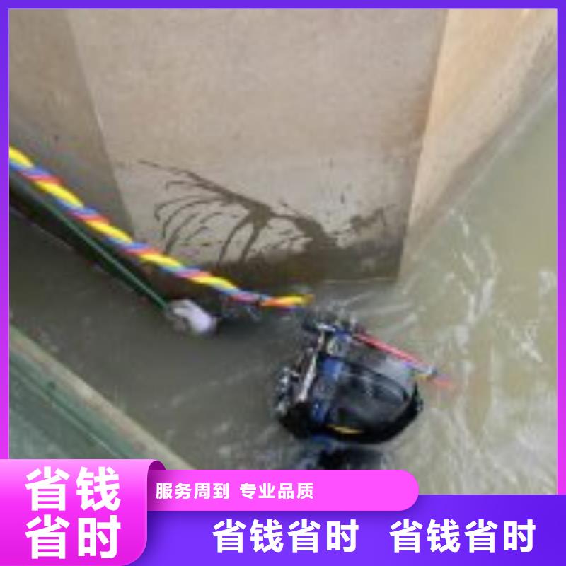 免费咨询物流快捷
